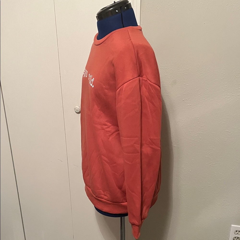 SHEIN Red Crewneck “always cold” Sweatshirt | Size L 8/10 - Picture 3 of 12